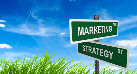 6 Must Have Components in your Marketing Plan even for Small Businesses